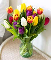 Alternative image 1 for Assorted tulips in a clear vase.