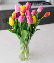 Alternative image 2 for Assorted tulips in a clear vase.