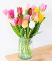 Alternative image 3 for Assorted tulips in a clear vase.