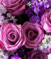 Alternative image 3 for Luxury Florist Designed Arrangement