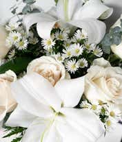 Alternative image 3 for A close up picture of an all white flower bouquet.