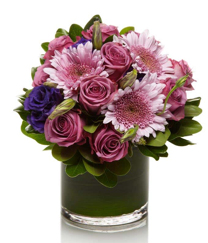 Purple roses delivered in a circular vase with purple mums