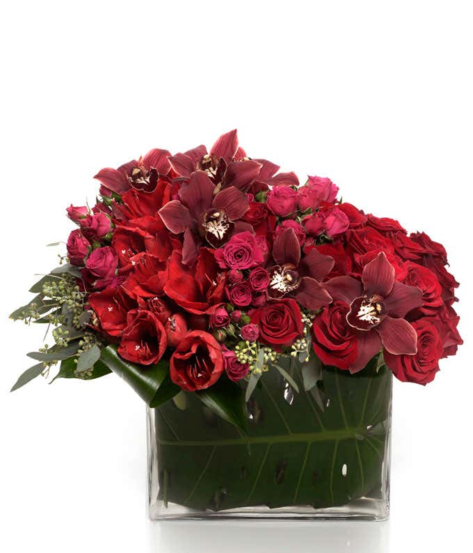 Red Roses and red Cymbidium Orchid in modern bouquet
