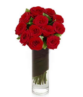 1-Dozen Red Roses in Vase