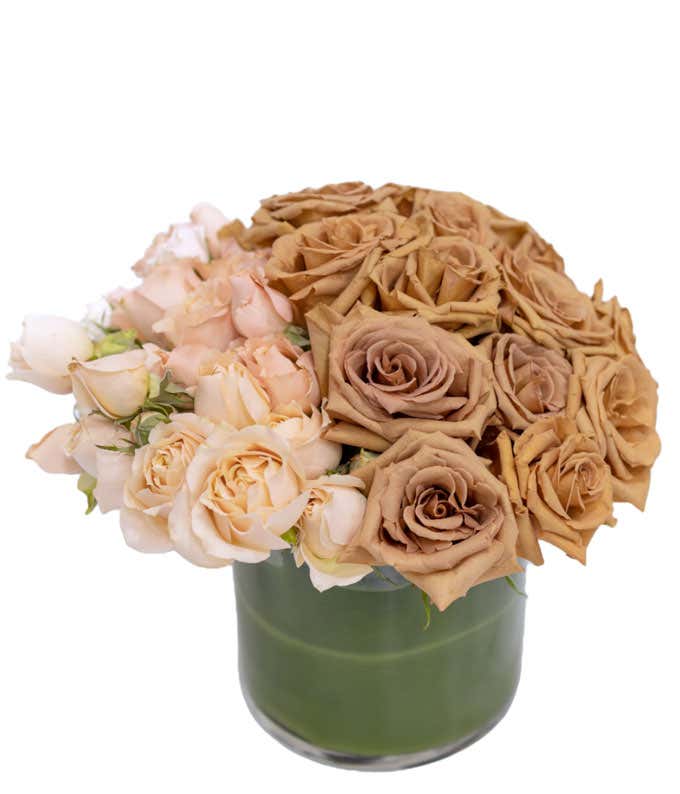 Flowers arranged in an ombre transitioning from cream to brown, in a short leaf-lined cylinder vase