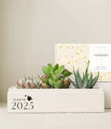 Lula's Garden ® Congrats Grad! Jewel Garden