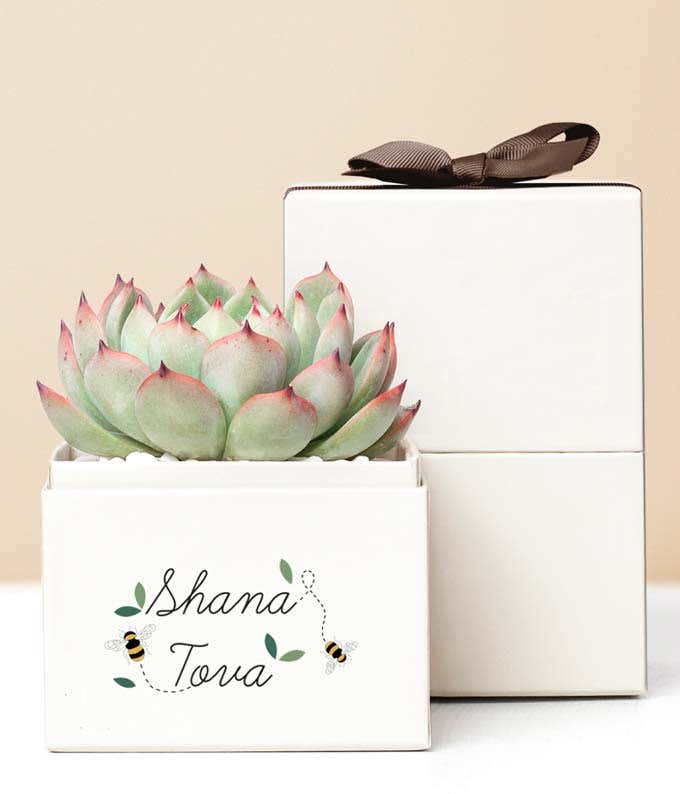 Lula's Garden ® Rosh Hashanah Bliss Garden