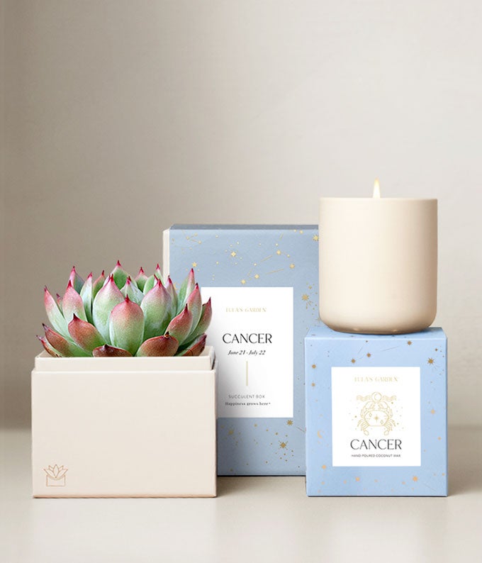 Lula's Garden ® Cancer Zodiac Gift Set at From You Flowers