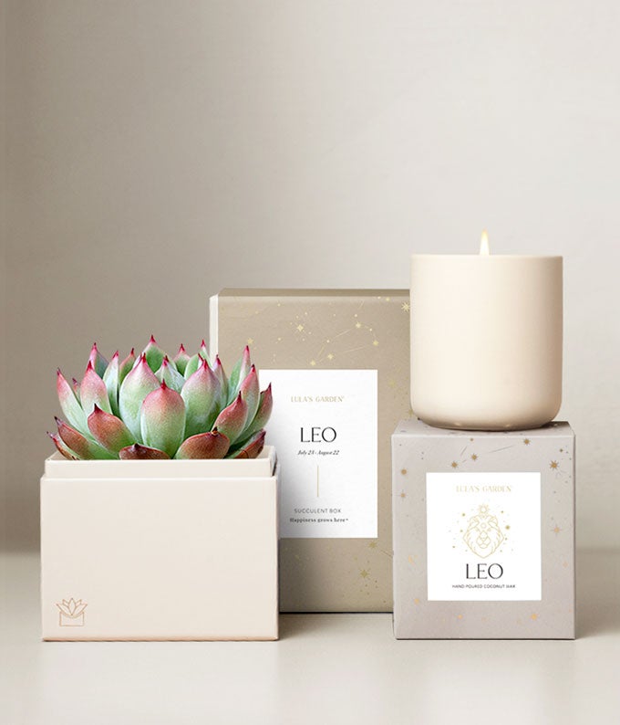 Lula's Garden ® Aries Bliss Succulent Garden at From You Flowers