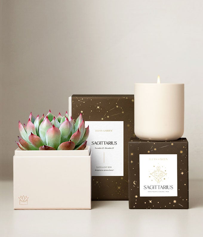Lula's Garden ® Aries Bliss Succulent Garden at From You Flowers