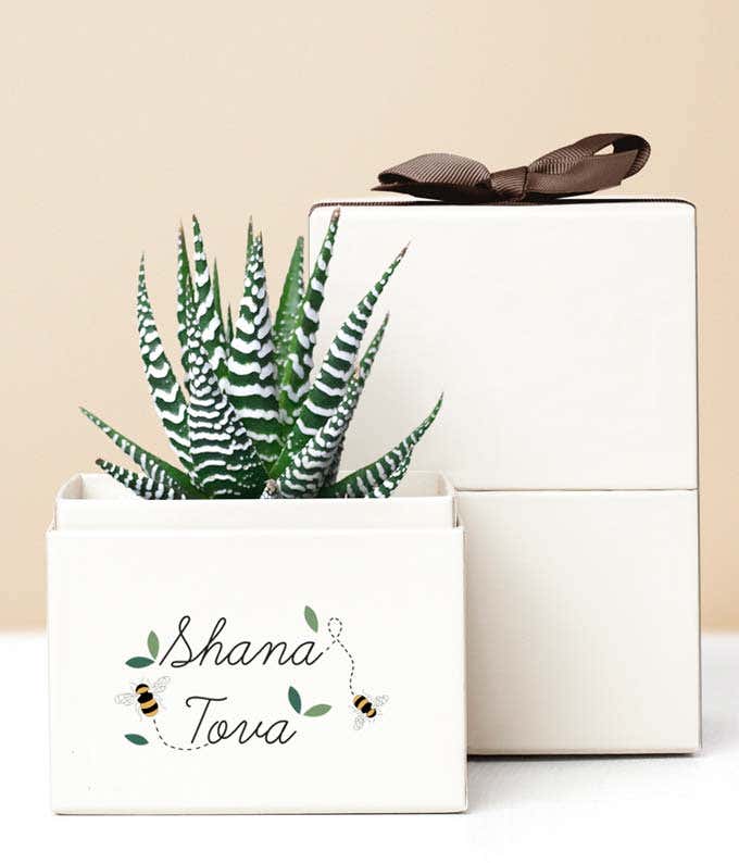 Lula's Garden ® Rosh Hashanah Zebra Garden