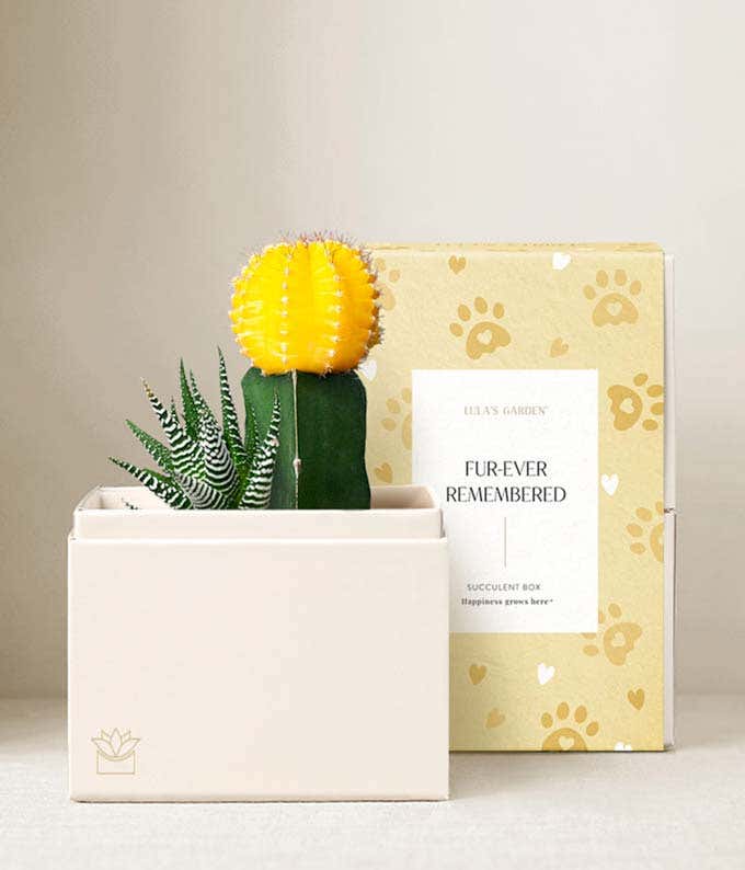 Lula's Garden ® Furever Remembered Ray Garden