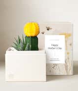 Lula's Garden ® Mother's Day Ray of Sunshine 
