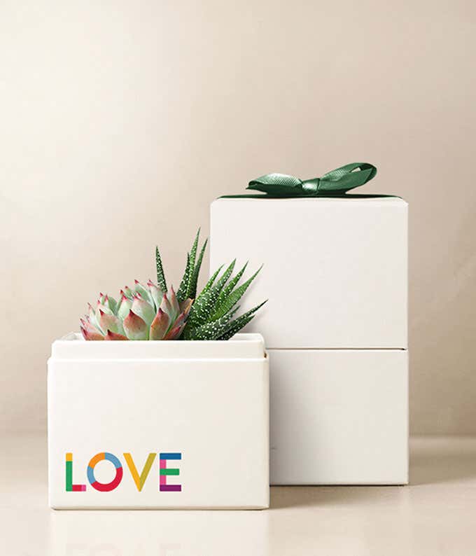 Lula's Garden ® Celebrate Love Glow Garden
