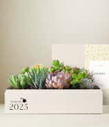 Lula's Garden ® Congrats Grad! Lush Garden
