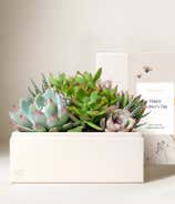 Lula's Garden ® Mother's Day Urban Garden