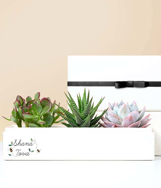 Lula's Garden ® Rosh Hashanah Verdant Garden