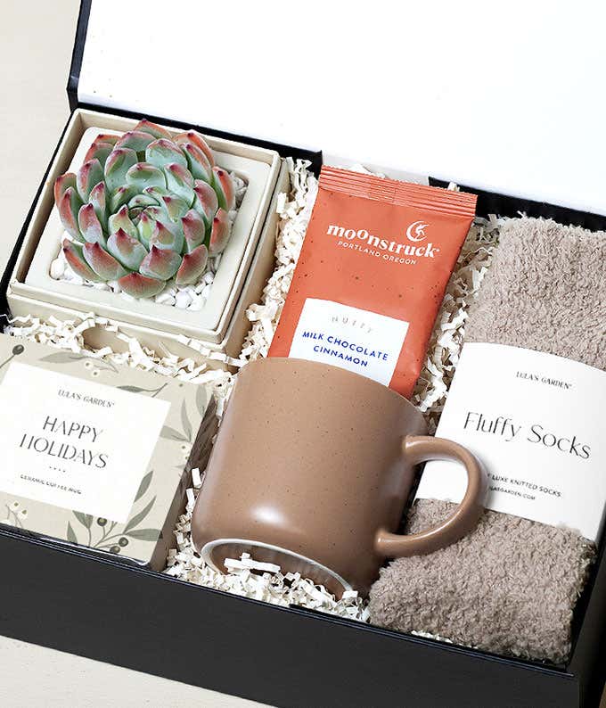 Open black gift box featuring a green succulent, milk chocolate cinnamon cocoa mix, fluffy beige socks, a brown ceramic coffee mug, and a “Happy Holidays” card, arranged on white crinkle paper.
