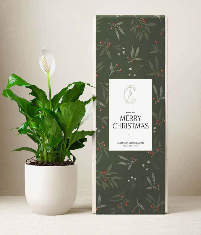 White peace lily plant in a smooth white ceramic pot placed beside a dark green holiday gift box with a botanical design and a label that reads “Merry Christmas.”