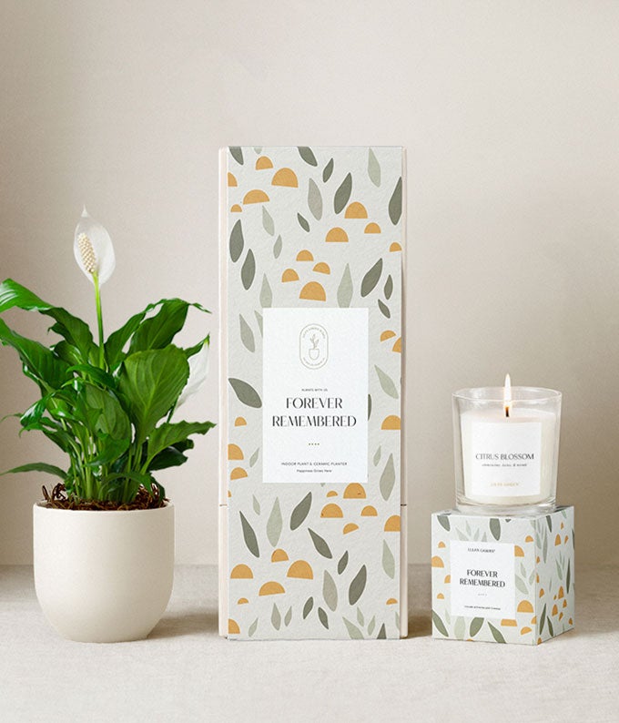 Lula's Garden Sympathy Peace Lily Gift Set
