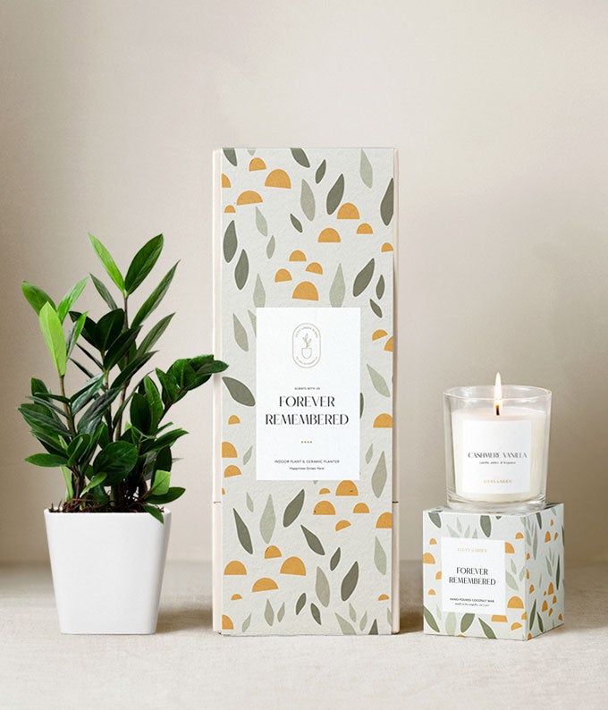 Lula's Garden ® Sympathy ZZ Plant Gift Set at From You Flowers