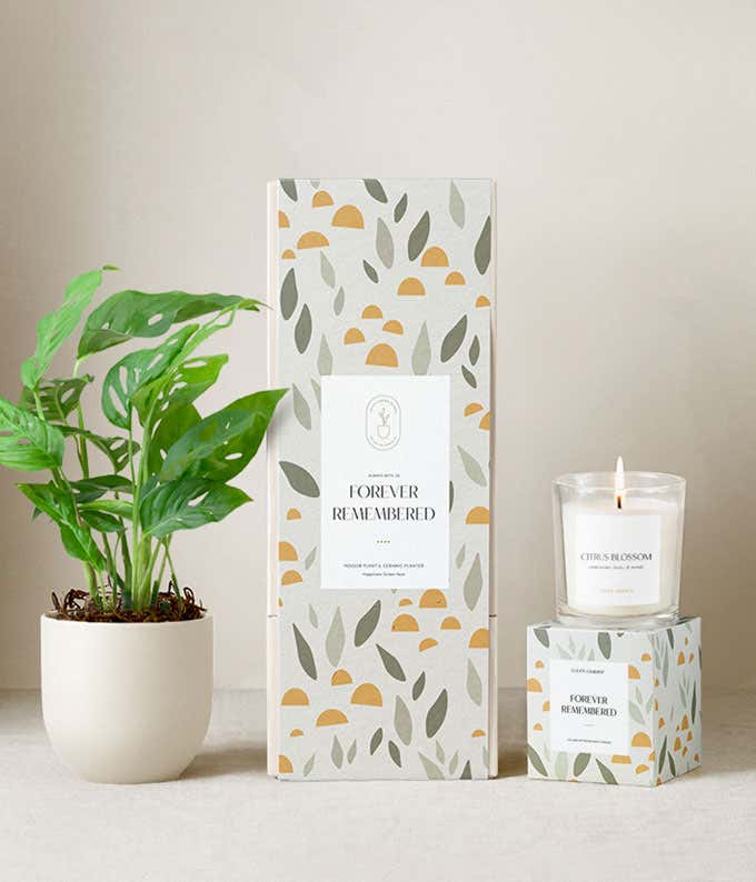 Sympathy gift set featuring a monstera plant in a white ceramic planter, a citrus blossom scented candle, and a decorative gift box with a leaf and sun pattern labeled Forever Remembered