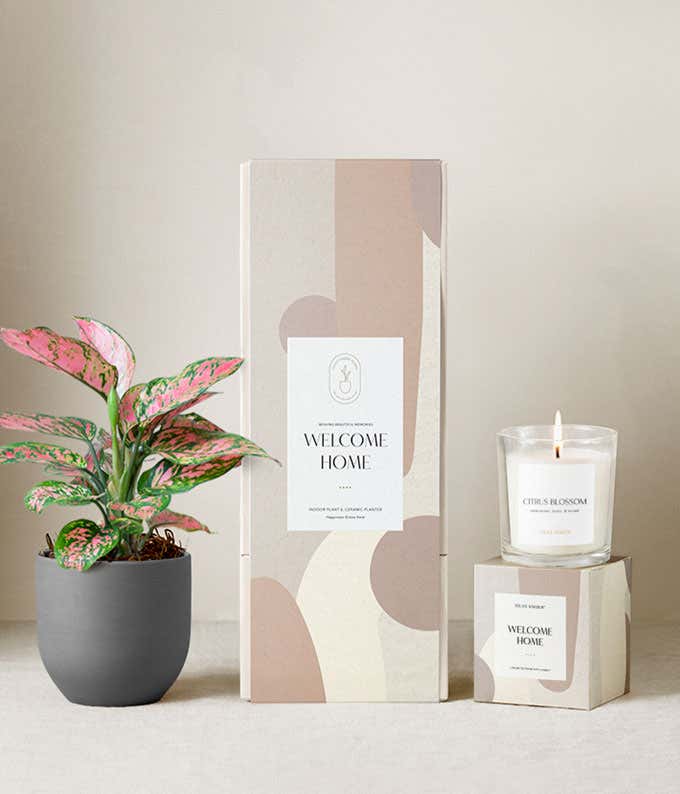 Housewarming gift set featuring a pink and green aglaonema plant in a dark gray ceramic planter, a citrus blossom scented candle, and a beige and blush abstract-patterned gift box labeled Welcome Home