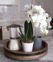 Alternative image 1 for Tall double white orchid plant