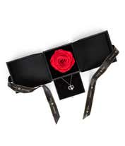 Alternative image 3 for Gift set featuring a single red rose in a black box, a heart-shaped silver necklace in another box, black packaging with Forever Love written in gold, and a black ribbon with gold text