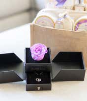 Alternative image 4 for Forever Rose & Necklace Gift Set- Purple
