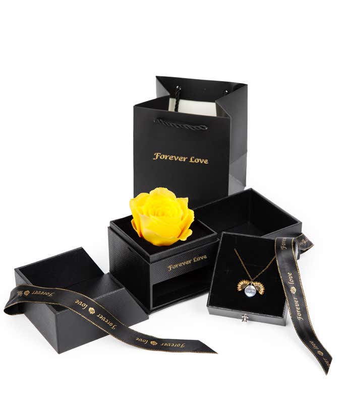 You're My Sunshine Preserved Rose & Necklace Gift Set 
