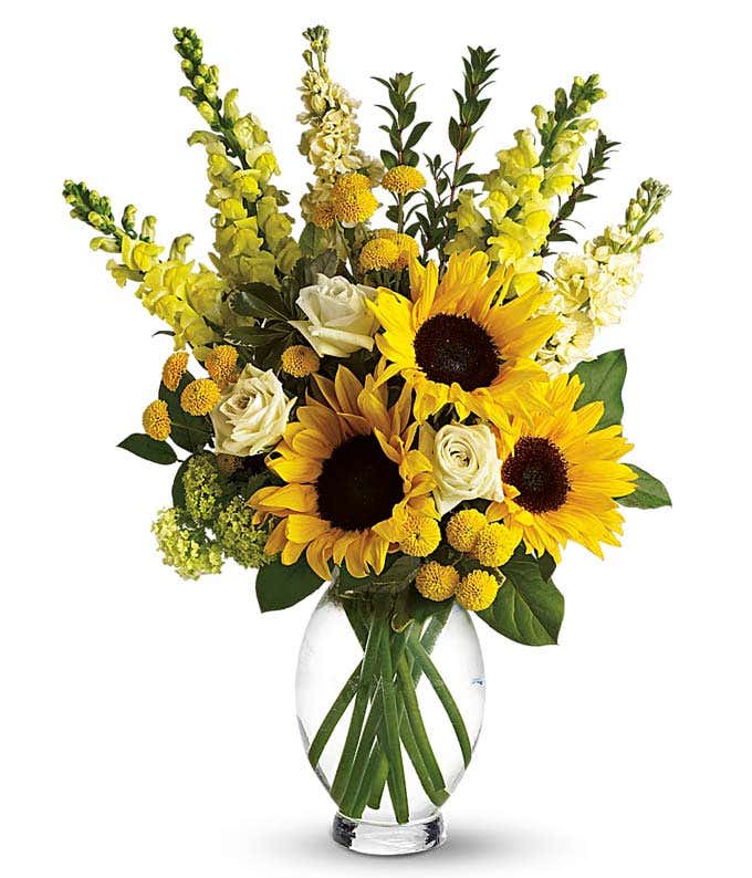 Sunflowers and green roses in a vase