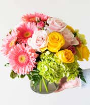 Alternative image 1 for Bright Beautiful Stems