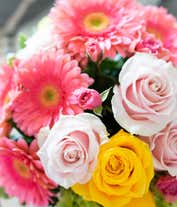 Alternative image 3 for Bright Beautiful Stems