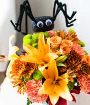 Alternative image 3 for Spooky Sweet
