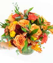 Alternative image 1 for A vibrant fall-themed floral arrangement featuring orange fall roses, orange alstroemeria, yellow button mums, burgundy cushion mums, and orange carnations, all elegantly displayed in a cylinder vase.
