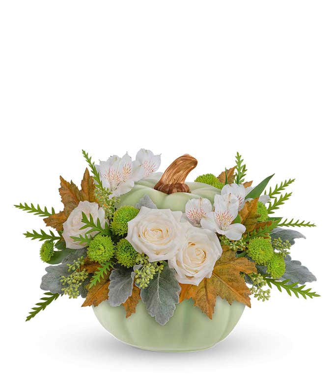 A delicate floral arrangement featuring white roses, white alstroemeria, and green button spray mums, accented with seasonal greenery, and presented in a light green ceramic pumpkin-shaped container with a brown stem accent.