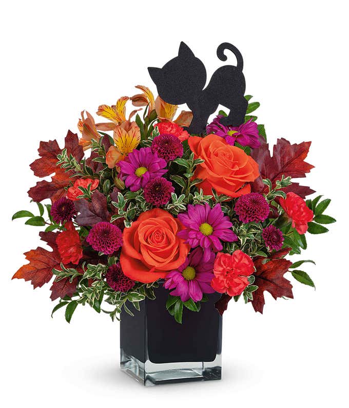 Halloween flower arrangement with bright orange roses, orange alstroemeria, purple daisy chrysanthemums, red carnations, and burgundy button spray chrysanthemums in a black cube vase, topped with a black cat decoration.