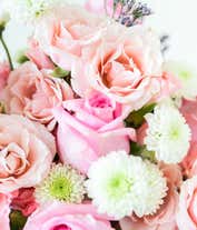 Alternative image 1 for Sweet Roses for Mom's Special Day