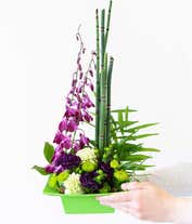 Alternative image 1 for A striking arrangement featuring purple dendrobium orchids, green carnations, hypericum, and bamboo-like equisetum. This unique and vibrant display offers a touch of exotic elegance to any setting. 
