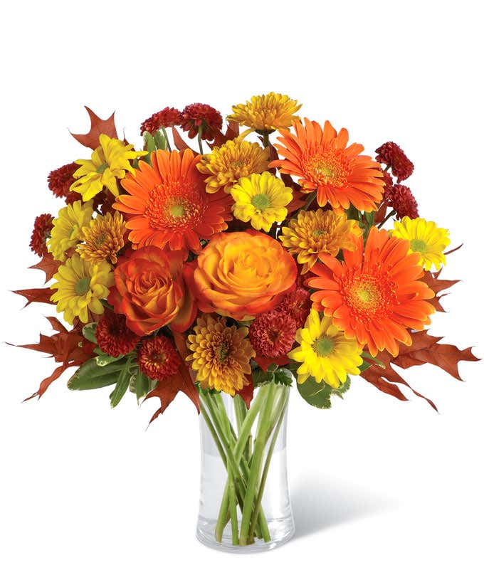 Arrangement of orange roses, orange gerbera daisies, yellow daisy spray chrysanthemums, orange cushion spray chrysanthemums, rust button spray chrysanthemums, variegated pittosporum, brown transparent oak leaves in a tall cylinder vase.