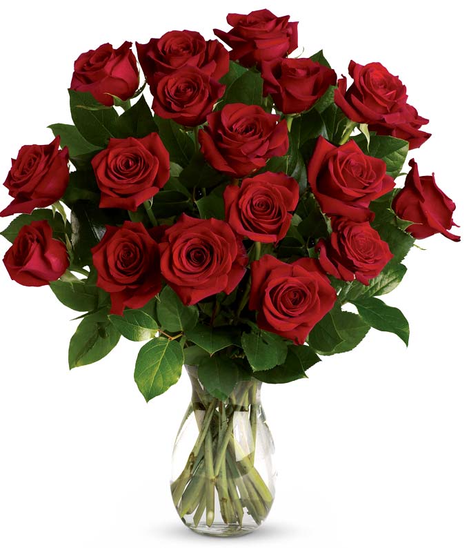 Classic Romance Red Roses