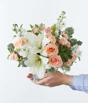 Alternative image 3 for Floral arrangement featuring peach roses, white Asiatic lilies, peach mini carnations, white stock, pitta negra, dusty miller, and a green echeveria succulent in a glass cube vase.