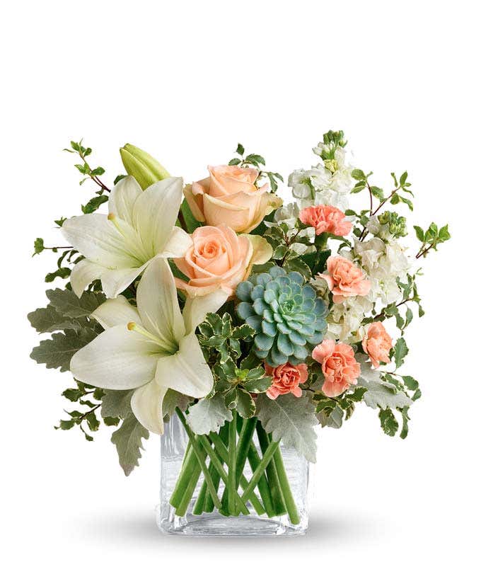 Floral arrangement featuring peach roses, white Asiatic lilies, peach mini carnations, white stock, pitta negra, dusty miller, and a green echeveria succulent in a glass cube vase.