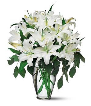 Perfect White Lilies