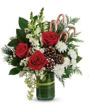 Red roses, white snapdragons and cedar with candy cane bouquet