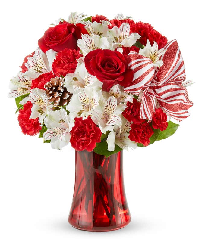 Red carnations and white alstroemeria in a red vase with holiday bow