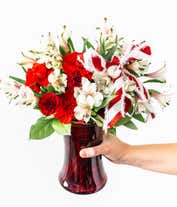 Alternative image 4 for Red carnations and white alstroemeria in a red vase with holiday bow