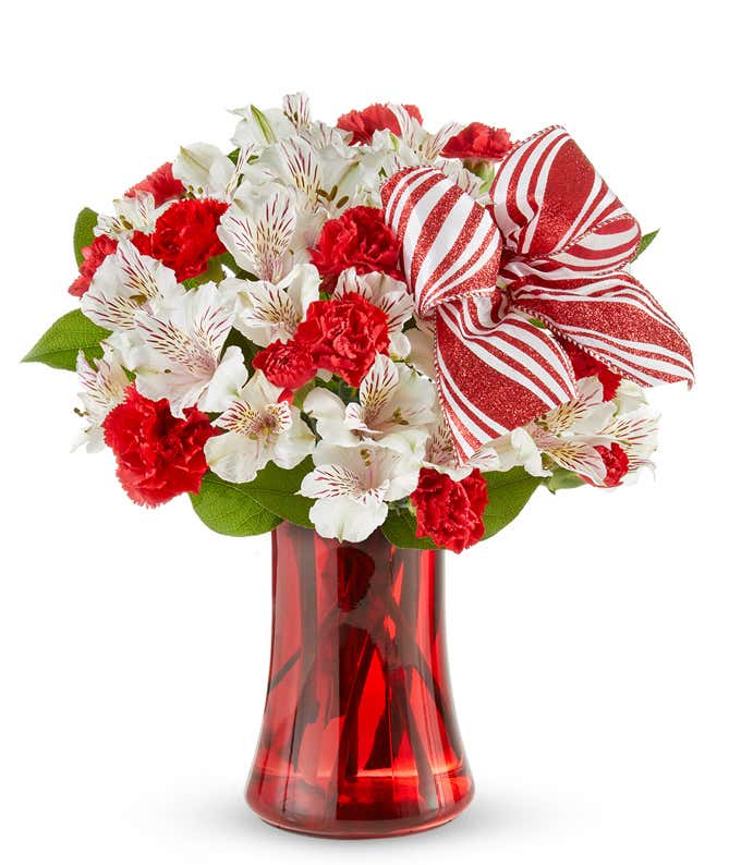 Red carnations and white alstroemeria in a red vase with holiday bow