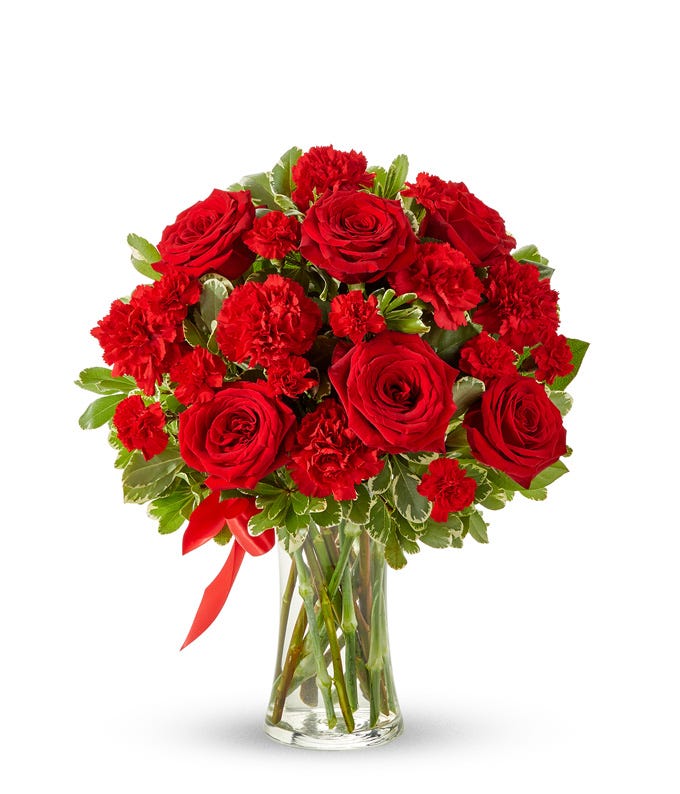 ورد القرنفل الأحمر